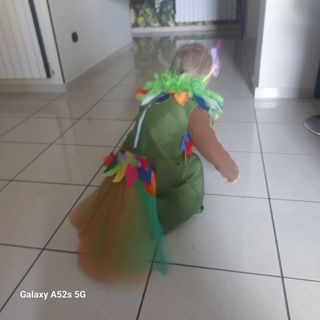 vestito principessa pavone