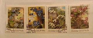 Francobolli URSS fiori - Sellos