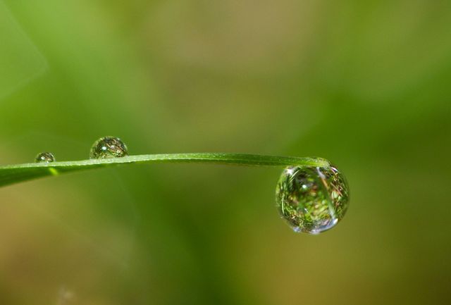 OBJETIVO PENTAX MACRO. 100. F2.8. 1:1