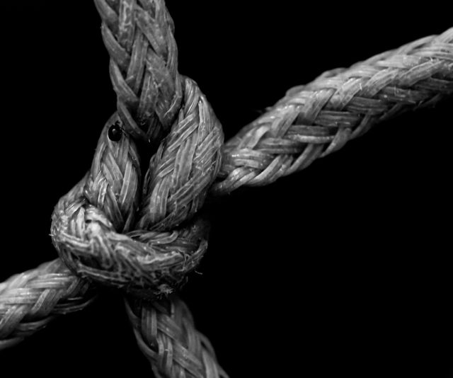 OBJETIVO PENTAX MACRO. 100. F2.8. 1:1