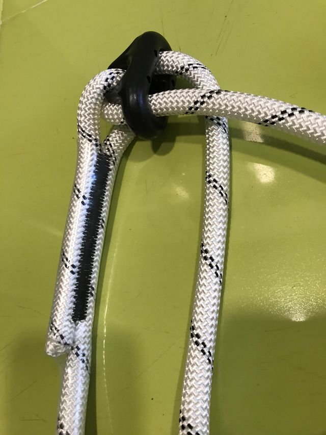 Arnes Deltapkus 2024