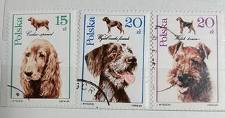 Francobolli Polonia cani - sellos