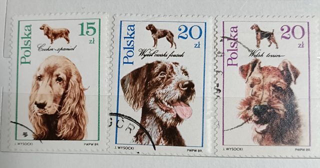 Francobolli Polonia cani - sellos