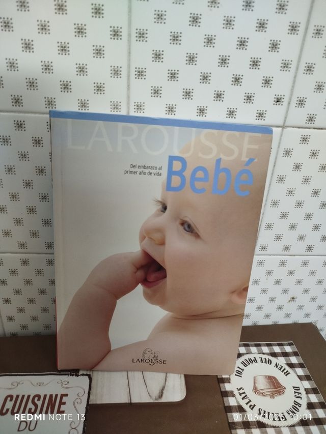 Libro Larousse bebé