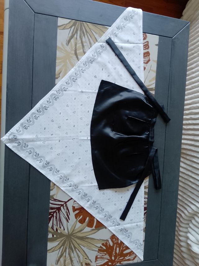 Falda,mandil y pañuelo de casera