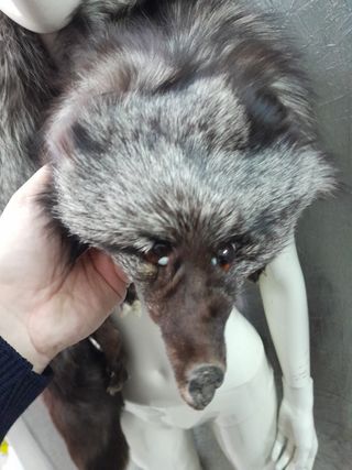 Collo stola scialle vera pelle