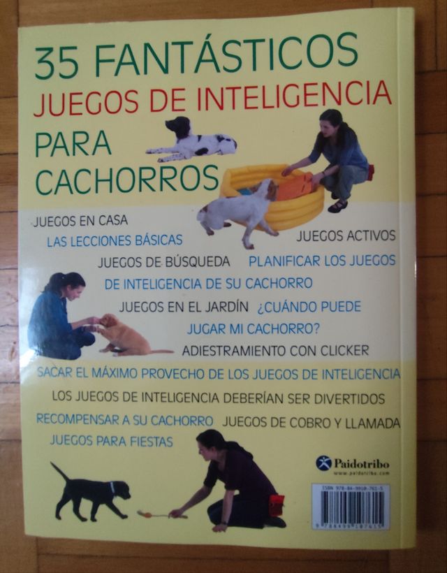 Juegos de inteligencia para cachorros (Color)