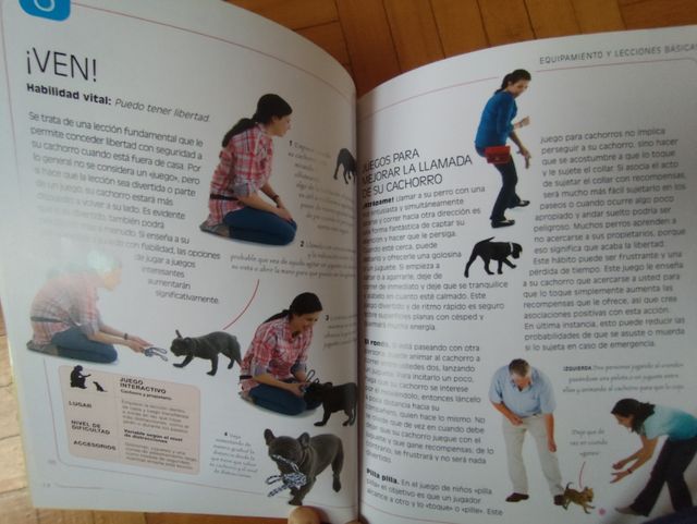 Juegos de inteligencia para cachorros (Color)