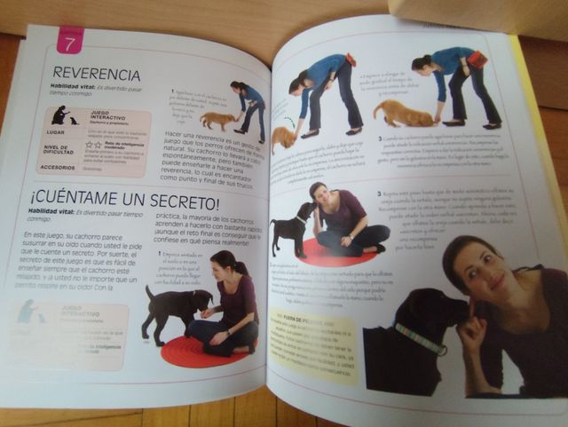 Juegos de inteligencia para cachorros (Color)