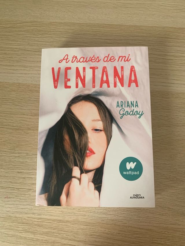 A TRAVÉS DE MI VENTANA