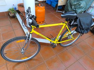 Bicicleta paseo