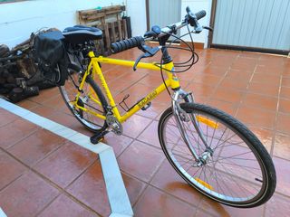 Bicicleta paseo