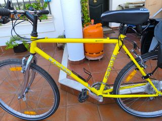 Bicicleta paseo