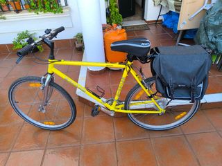 Bicicleta paseo