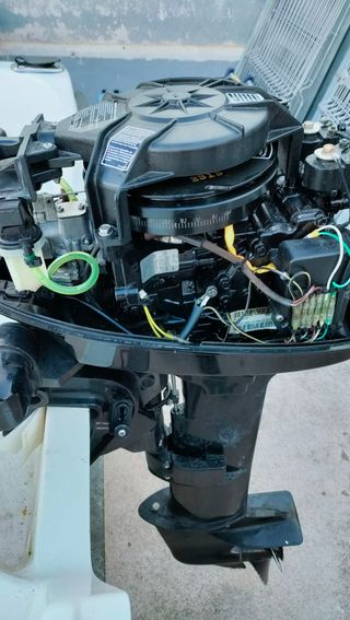 Motor fuera borda 13.5cv 2 tiempos