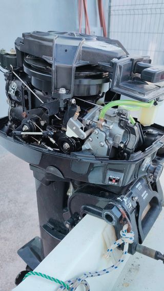 Motor fuera borda 13.5cv 2 tiempos