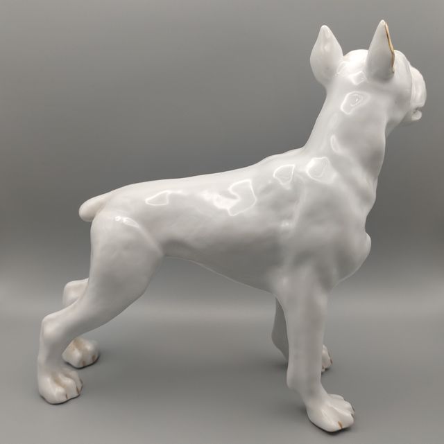 Cane boxer in porcellana vintage