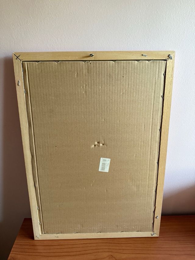 Cuadro infantil pato donald y sus sobrinos