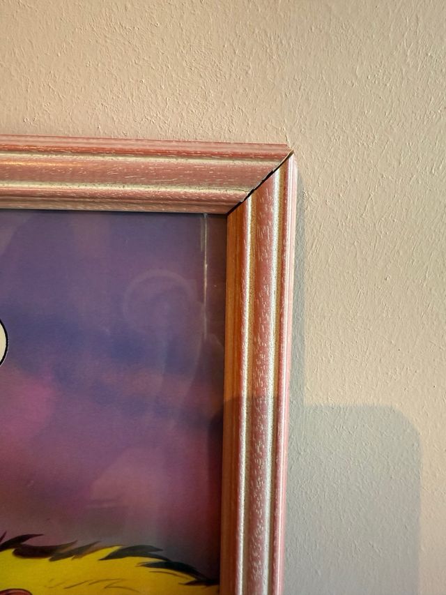 Cuadro infantil pato donald y sus sobrinos