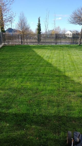 Jardinero