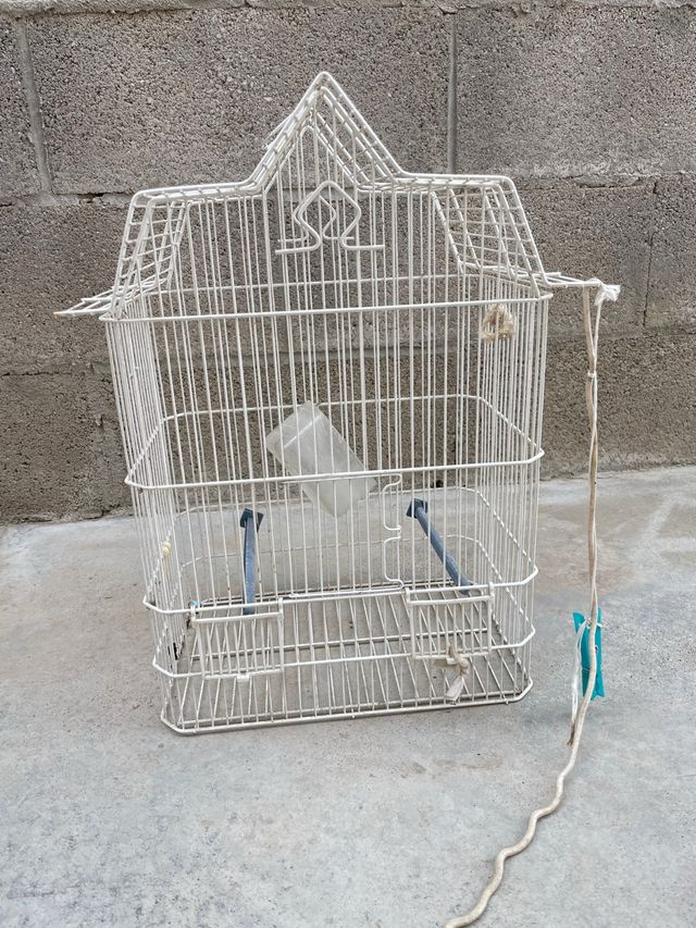 gabbia per uccelli