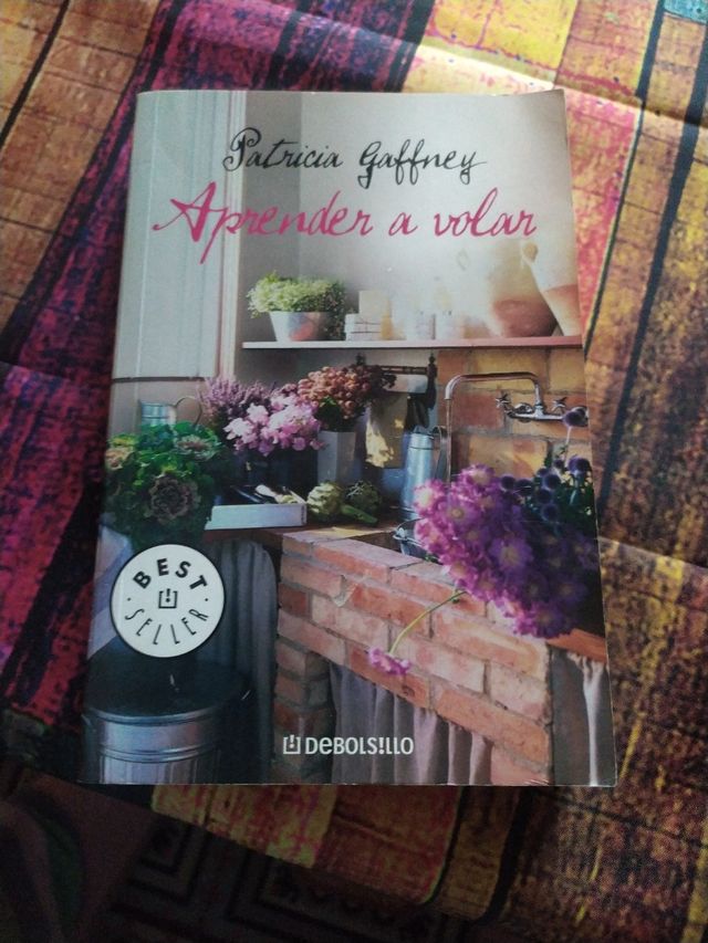 Aprender a volar / Flight Lessons (Spanish Edition)