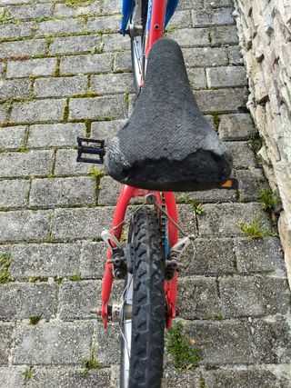 Bicicleta niño