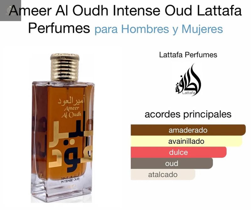 AMEER AL OUDH