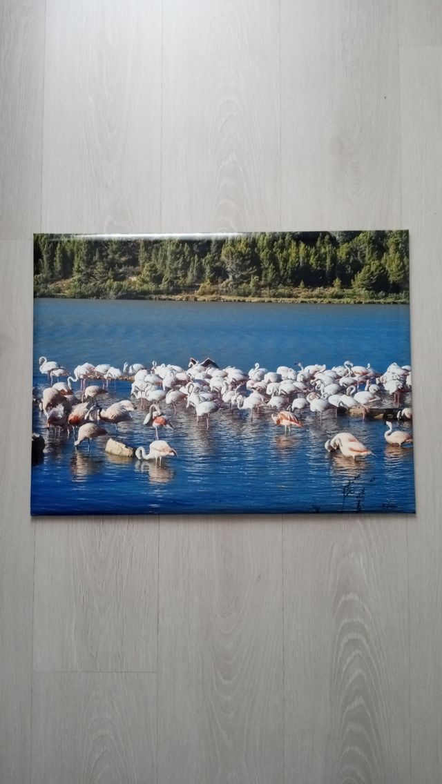 Cuadro paisaje flamencos