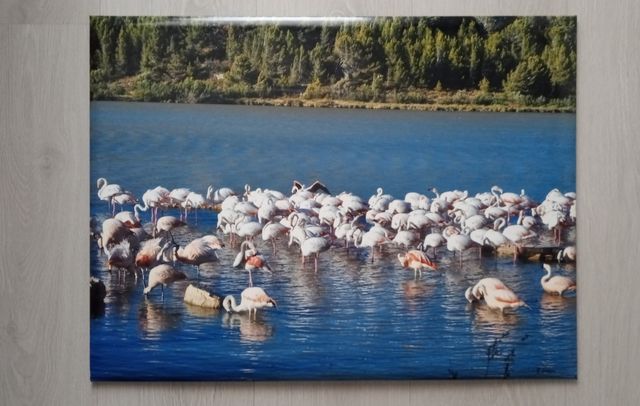 Cuadro paisaje flamencos
