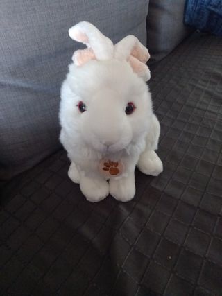 Peluches coniglio amiplush