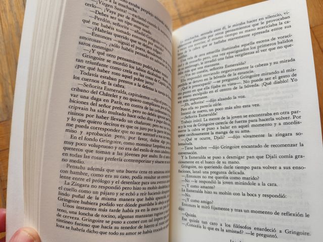 Libro Nuestra señora de Paris