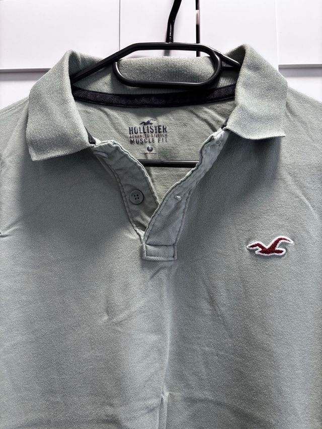 Polo Hollister