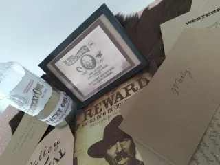 Lote regreso al futuro 3 bufford