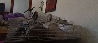 Jaula para hamster 