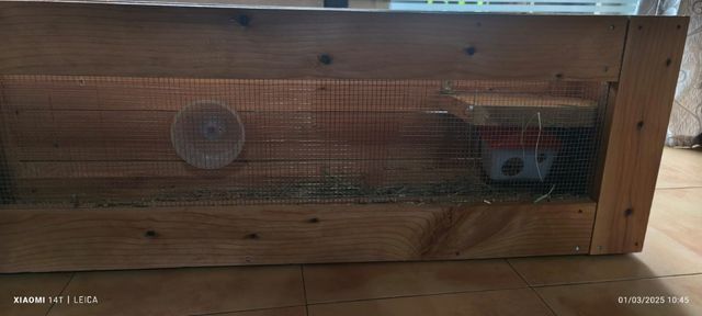 Jaula para roedores de madera de pino