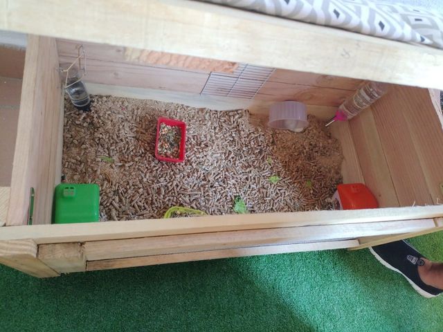 Jaula para roedores de madera de pino