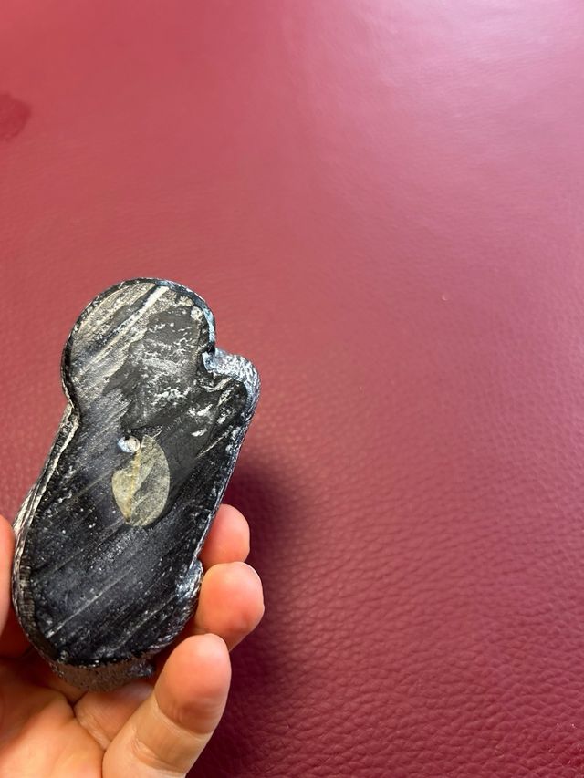 The wolf sculptures Canada due sculture