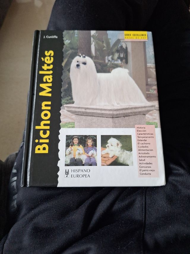 Bichon Maltés (Excellence: Razas de hoy / Excellence: Today's Breeds) (Spanish Edition)