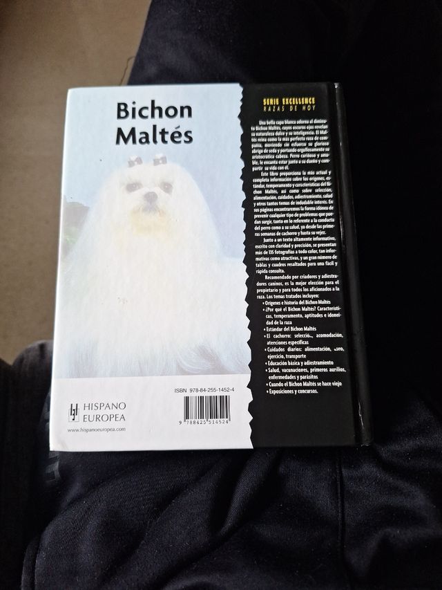 Bichon Maltés (Excellence: Razas de hoy / Excellence: Today's Breeds) (Spanish Edition)