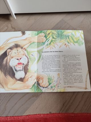 Libro per bambini