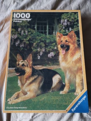 Puzzle 1000 pezzi Ravensbuger- Cani Lupo