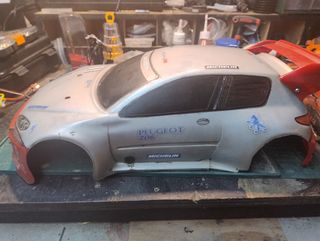 Carena Peugeot 206 RC