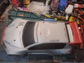 Carena Peugeot 206 RC