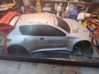 Carena Peugeot 206 RC