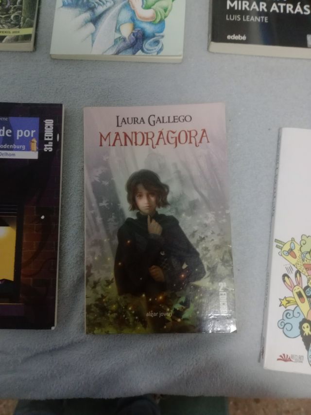 Libros de mágicos misterios en chassburgo