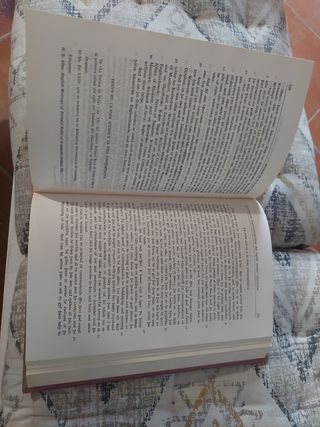 Historia lengua inglesa (Spanish Edition)