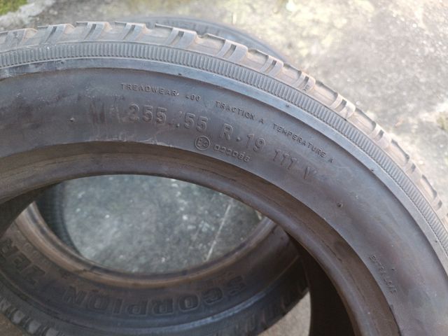 Pirelli Neumáticos 255-55-19