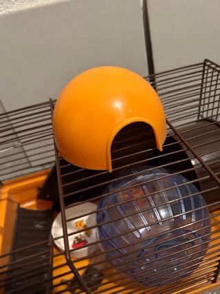 Jaula hamster