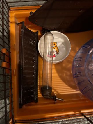 Jaula hamster